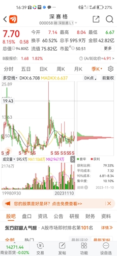 深賽格股票股吧，投資熱點與前景展望，深賽格股票股吧，投資熱點與未來前景展望