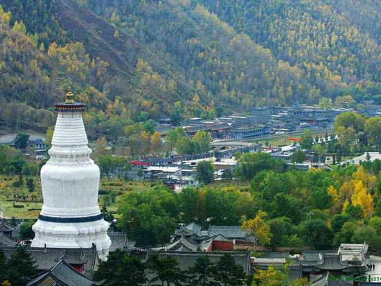 五臺山景區(qū)，歷史與自然共融的佛教圣地，五臺山景區(qū)，歷史與自然共融的佛教圣地之旅