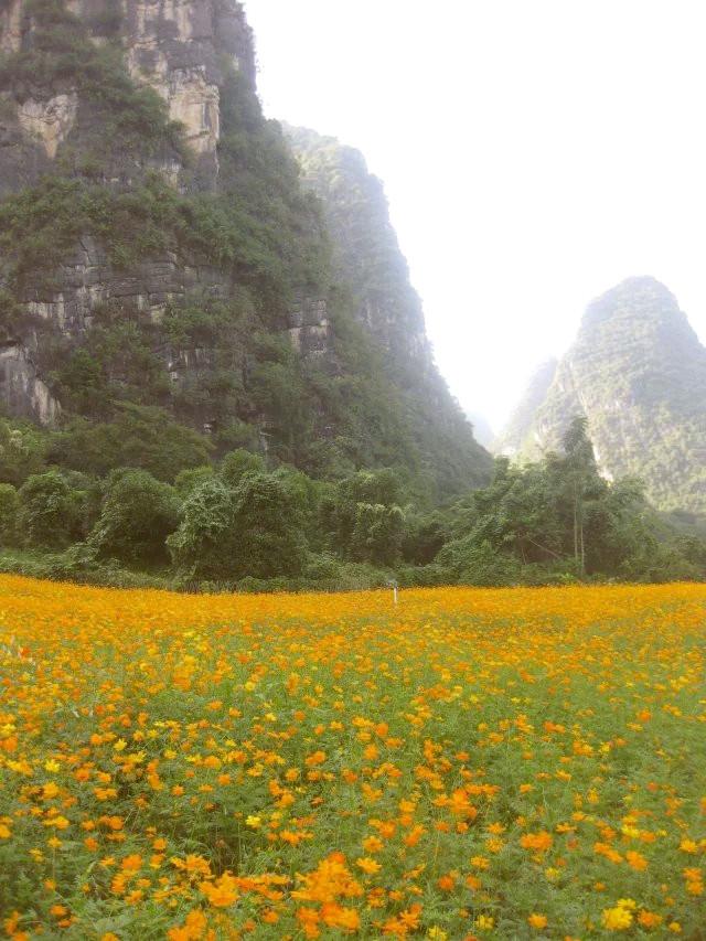 遇龍河漂流，一次難忘的水上冒險之旅，遇龍河漂流，難忘的水上冒險之旅體驗