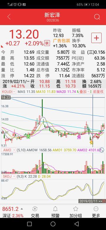 新宏澤股票，市場趨勢與投資策略分析，新宏澤股票，市場趨勢解讀與投資策略探討