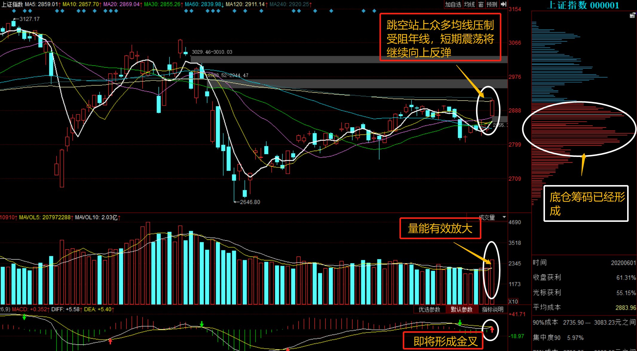 深度解析，601918股票行情，深度解析，股票行情解析與投資建議——以601918為例