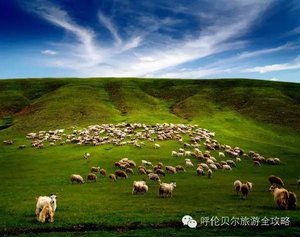 呼倫貝爾草原自由行旅游攻略，呼倫貝爾草原自由行全攻略，暢游草原之旅