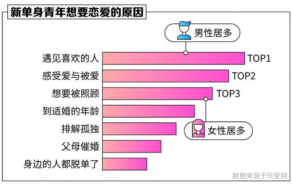 珍愛(ài)網(wǎng)最新版本下載安裝，探索與體驗(yàn)，珍愛(ài)網(wǎng)最新版本下載，探索與體驗(yàn)之旅