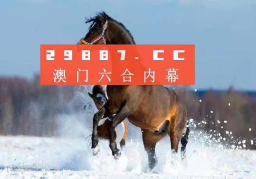 澳門一一碼一特一中準(zhǔn)選今晚，探索與預(yù)測(cè)，澳門今晚一特一中準(zhǔn)選碼探索與預(yù)測(cè)