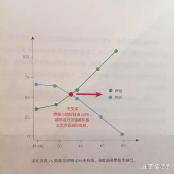 做哪些運動可以減肥，運動減肥，最有效的瘦身運動有哪些？