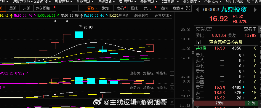 股票600053，深度解析與前景展望，股票600053深度解析及前景展望