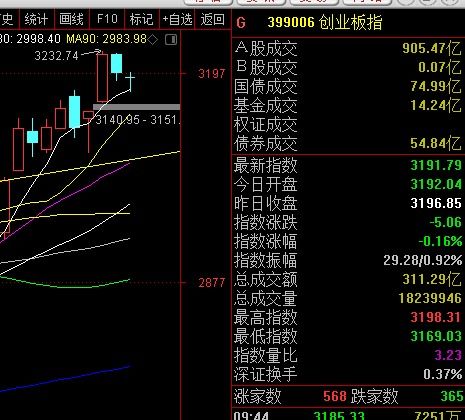 數(shù)碼視訊股票行情深度解析，數(shù)碼視訊股票行情全面解析