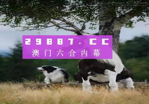 澳門最準(zhǔn)最快開獎資料，探索彩票開獎的奧秘，澳門彩票開獎奧秘探索，最準(zhǔn)最快開獎資料揭秘