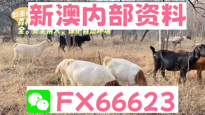 新澳2025今晚開獎(jiǎng)資料四不像，深度解析與預(yù)測分析，新澳2025今晚開獎(jiǎng)資料解析與預(yù)測，四不像現(xiàn)象深度探討