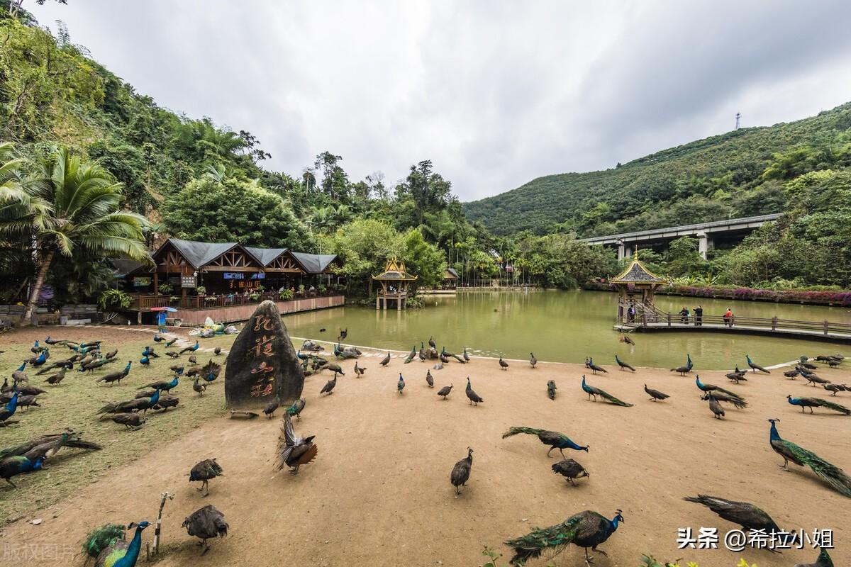 西雙版納旅游必去景點介紹，西雙版納必游景點攻略大全