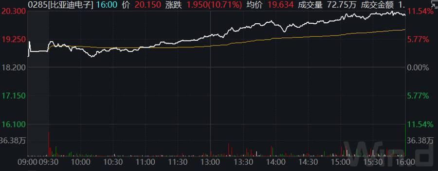 比亞迪股票行情今日股價(jià)分析與展望，比亞迪股票行情今日分析，股價(jià)走勢(shì)展望與深度解讀