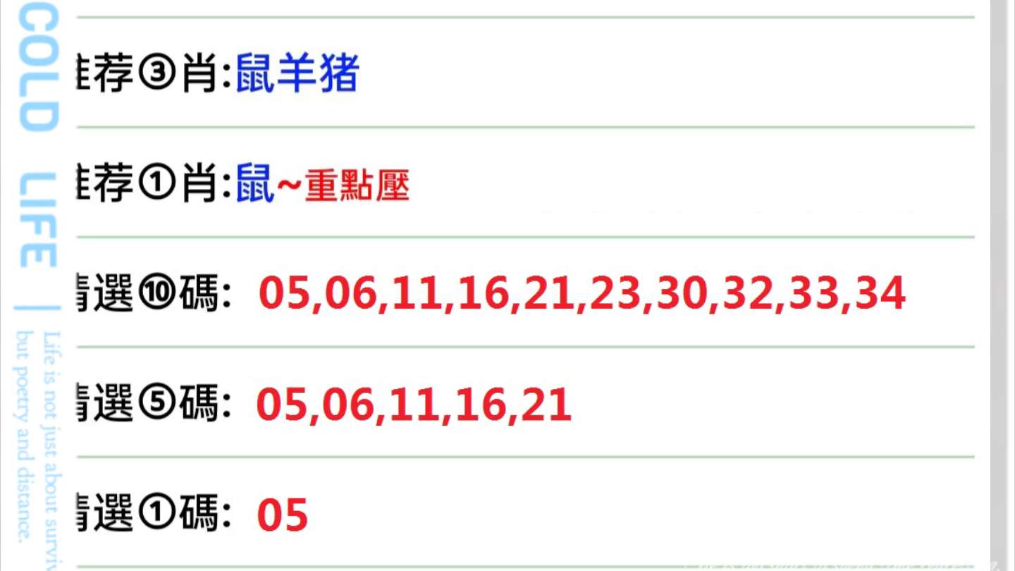 新澳門今天六開獎結果掛牌，探索與期待，澳門今日開獎結果揭曉，探索與期待的新篇章