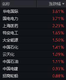 國(guó)電電力股票目標(biāo)價(jià)分析，國(guó)電電力股票目標(biāo)價(jià)深度解析