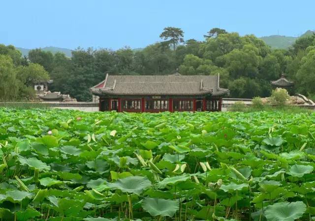 夏季旅游好去處國(guó)內(nèi)，國(guó)內(nèi)夏季旅游好去處推薦