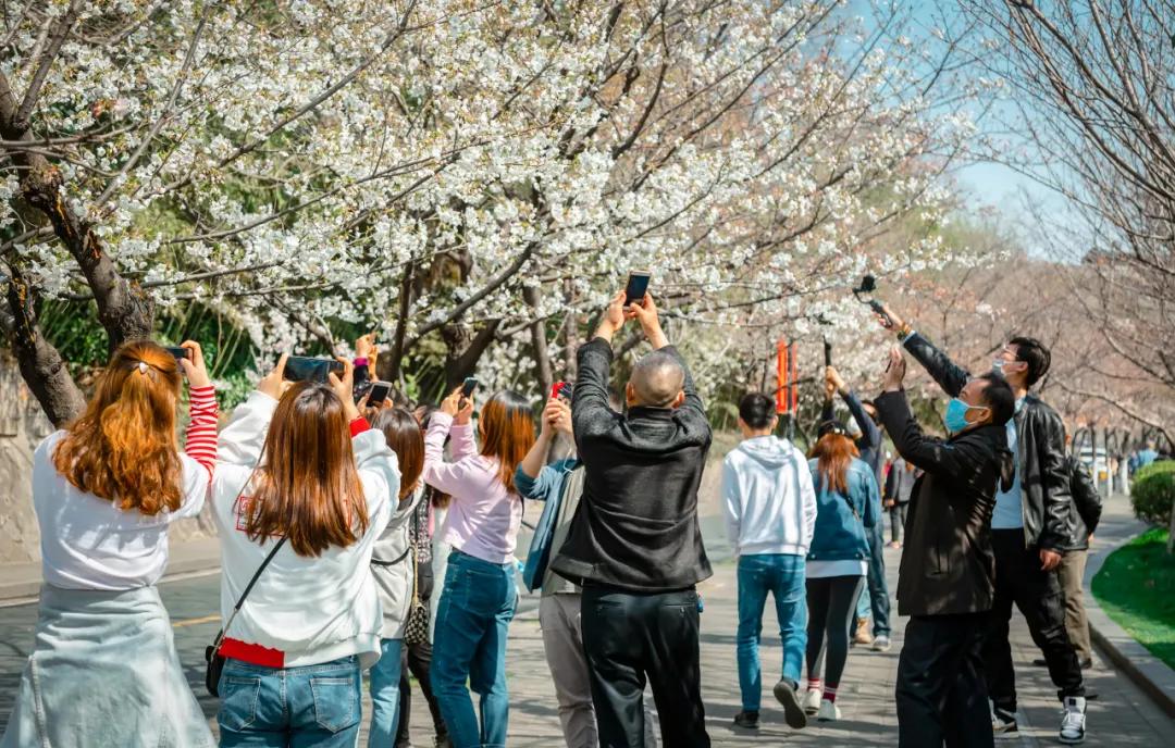 雞鳴寺預(yù)約購(gòu)票