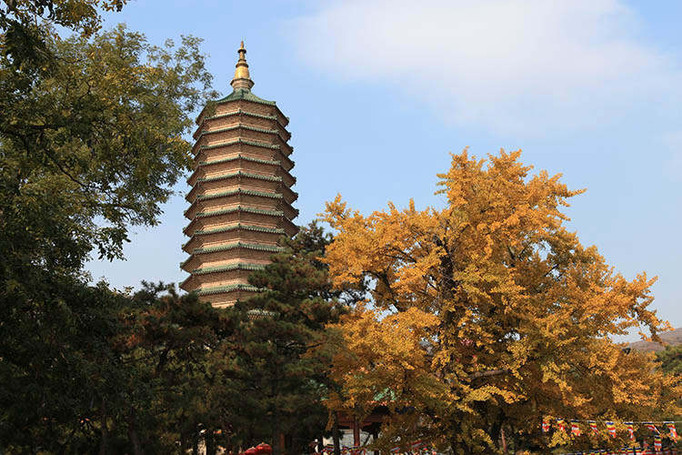 八大處公園景點詳細介紹，八大處公園景點深度解析